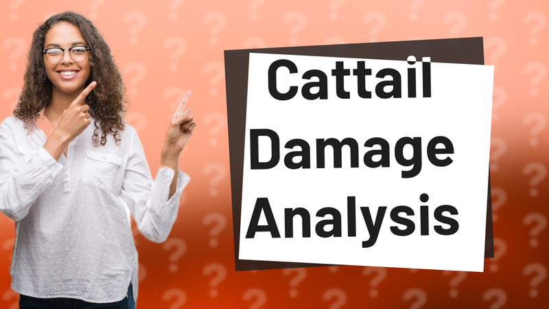 Cattail Damage Analysis