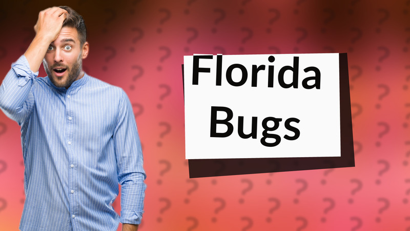 Florida Bugs