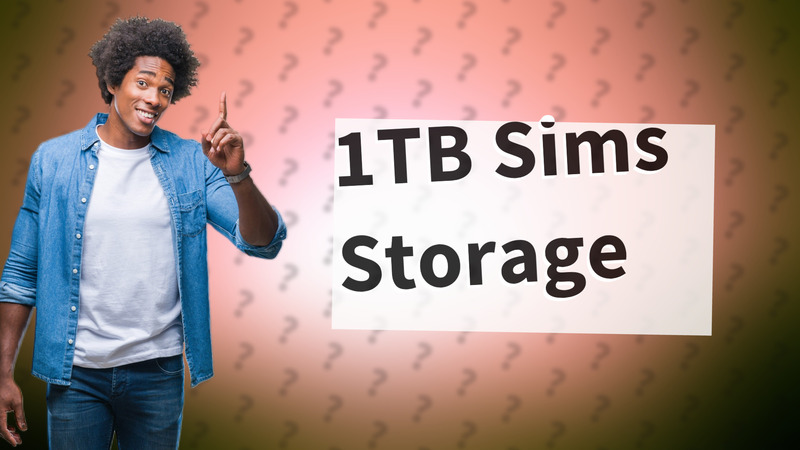 1TB Sims Storage