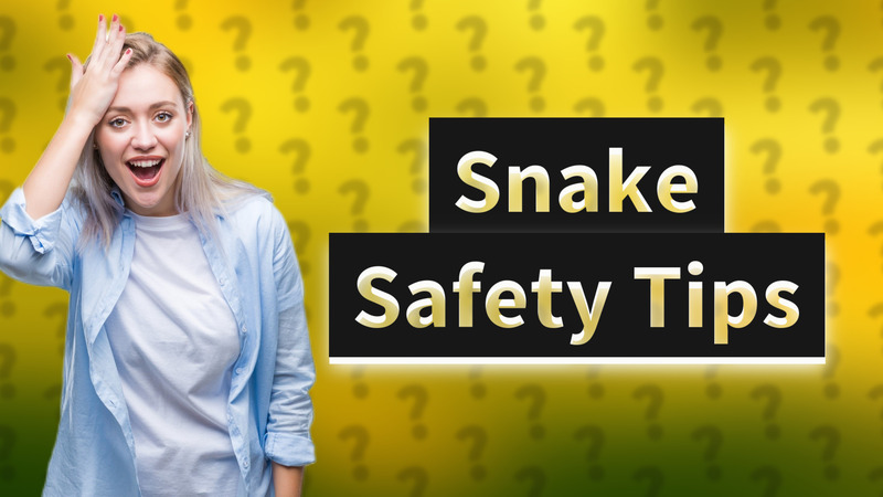 Snake Safety Tips