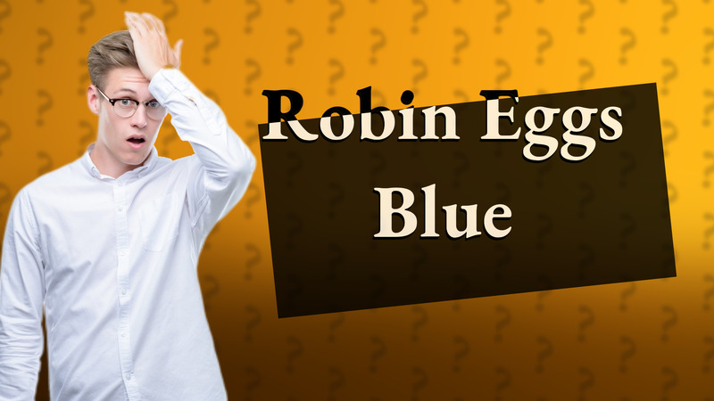 Robin Eggs Blue