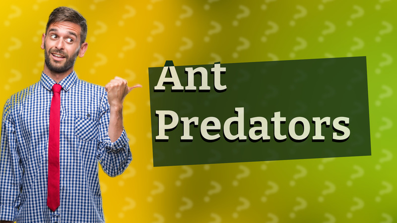 Ant Predators