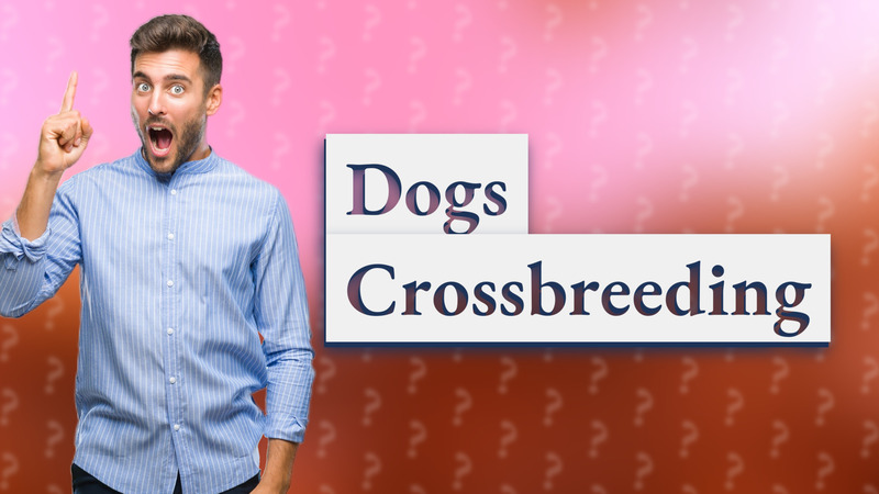 Dogs Crossbreeding