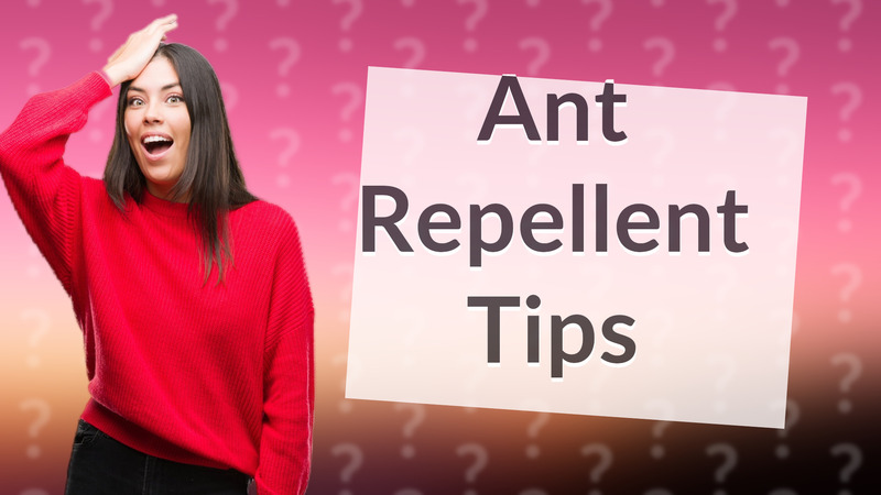 Ant Repellent Tips