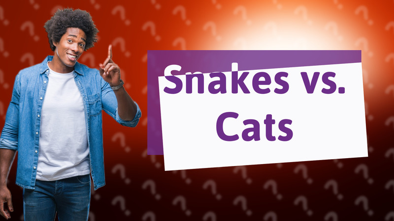 Snakes vs. Cats