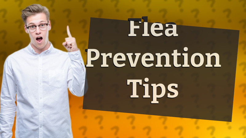 Flea Prevention Tips