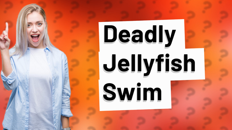 Deadly Jellyfish Swim