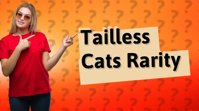 Tailless Cats Rarity