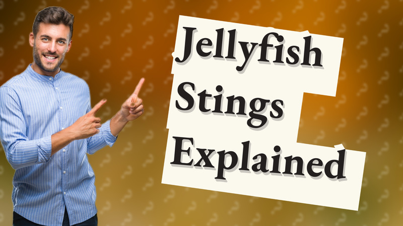 Jellyfish Stings Explained