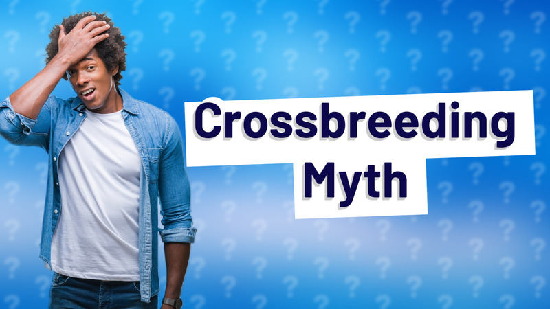 Crossbreeding Myth