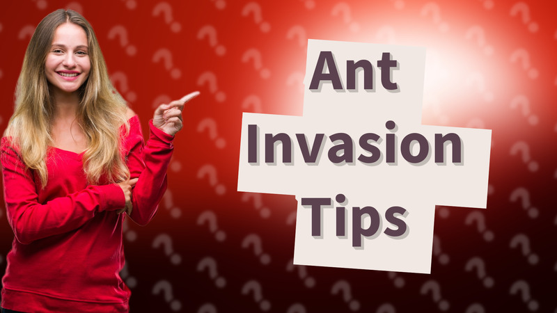Ant Invasion Tips
