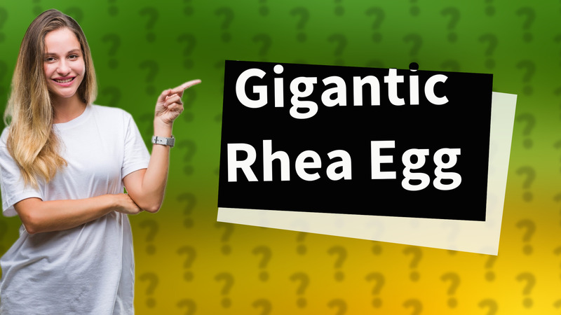Gigantic Rhea Egg