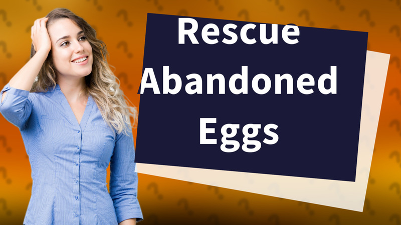Rescue Abandoned Eggs