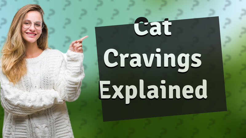 Cat Cravings Explained