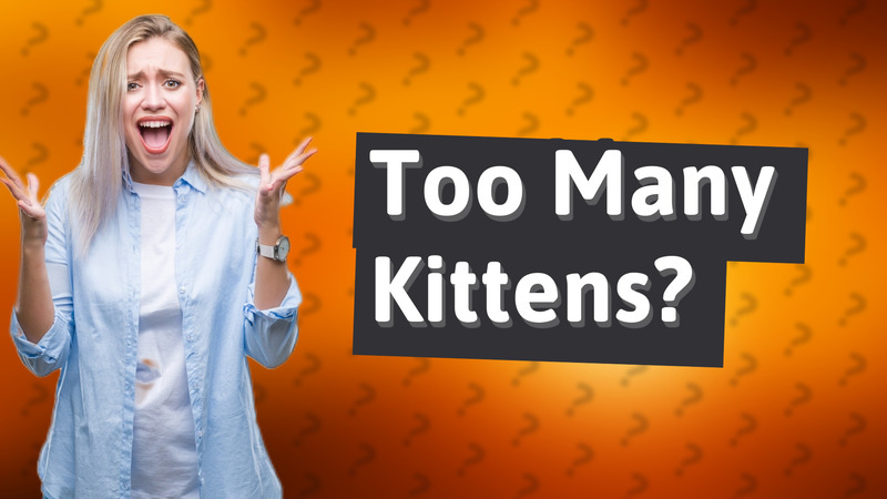 Too Many Kittens?