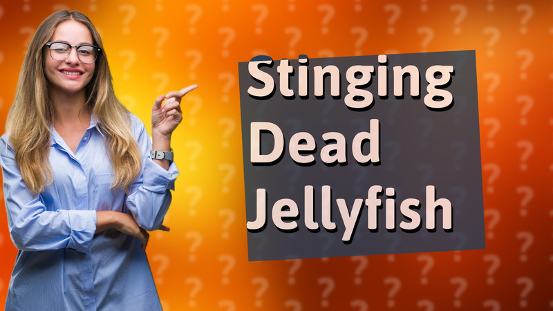 Stinging Dead Jellyfish