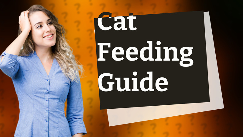 Cat Feeding Guide