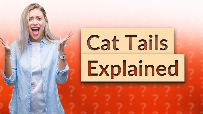 Cat Tails Explained