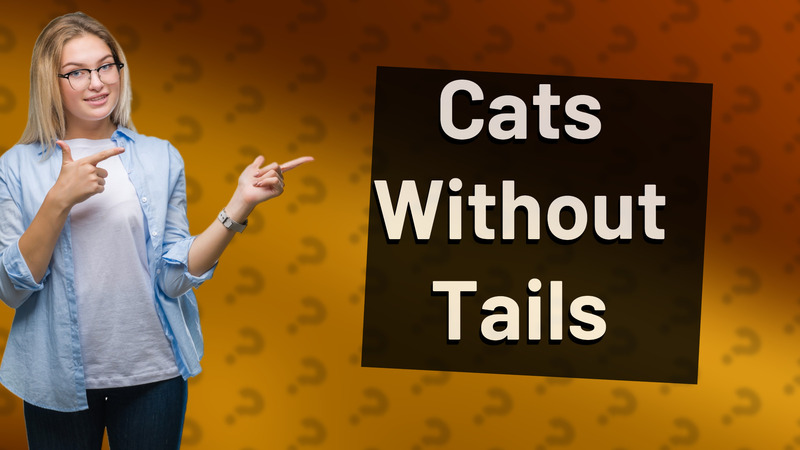 Cats Without Tails