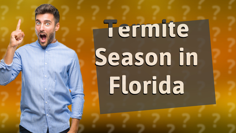 Termite Season in Florida