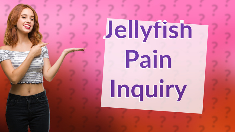 Jellyfish Pain Inquiry