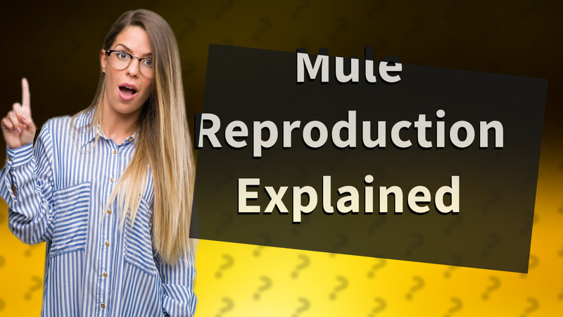 Mule Reproduction Explained