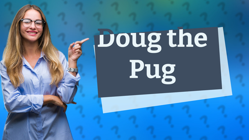 Doug the Pug