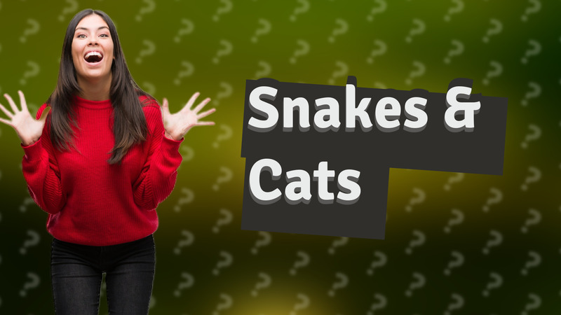 Snakes & Cats