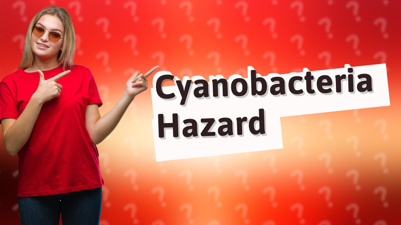 Cyanobacteria Hazard