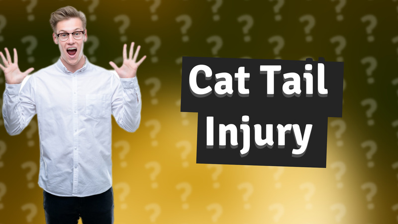 Cat Tail Injury