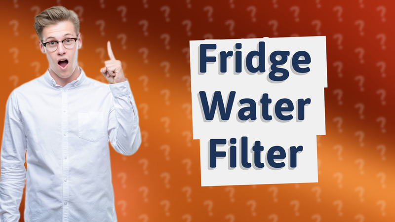 Fridge Water Filter