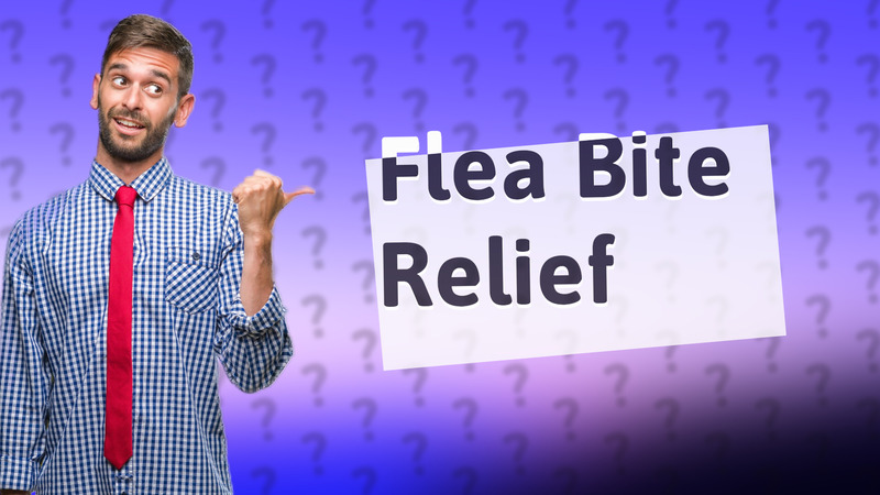 Flea Bite Relief