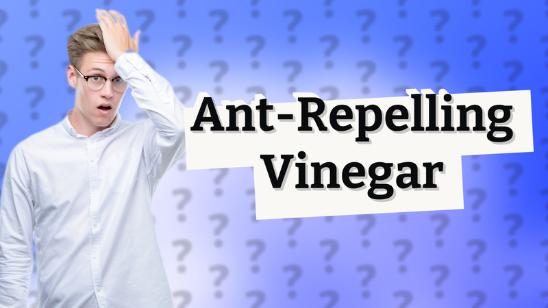 Ant-Repelling Vinegar