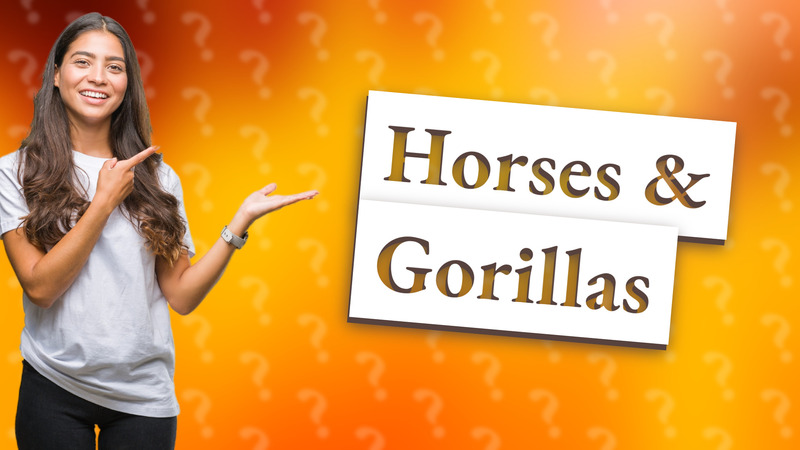 Horses & Gorillas