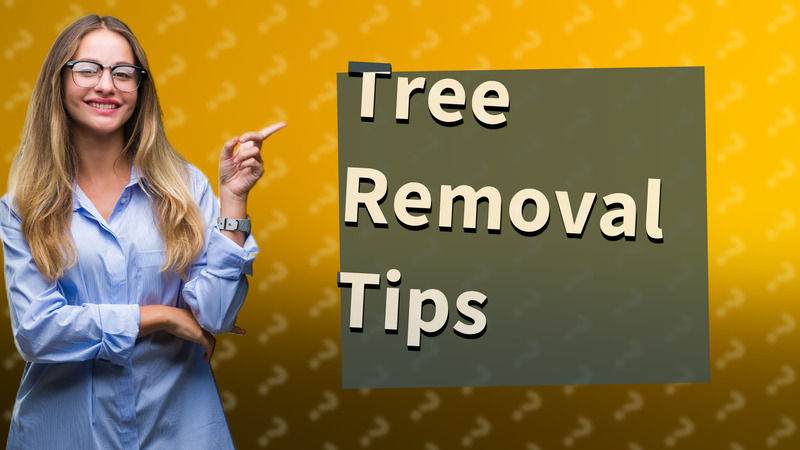 Tree Removal Tips