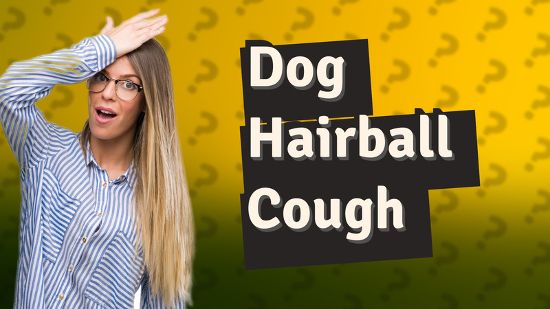 Dog Hairball Cough