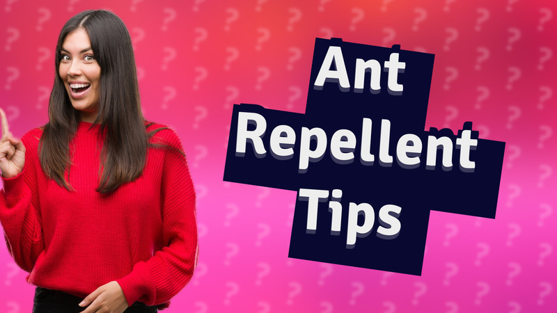 Ant Repellent Tips