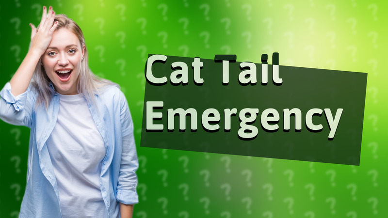 Cat Tail Emergency
