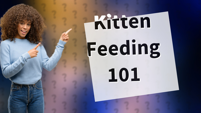Kitten Feeding 101
