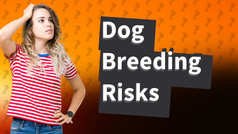 Dog Breeding Risks