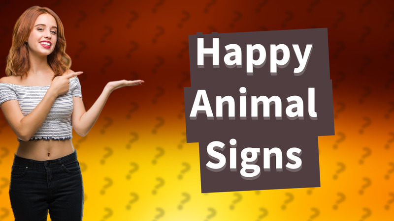 Happy Animal Signs