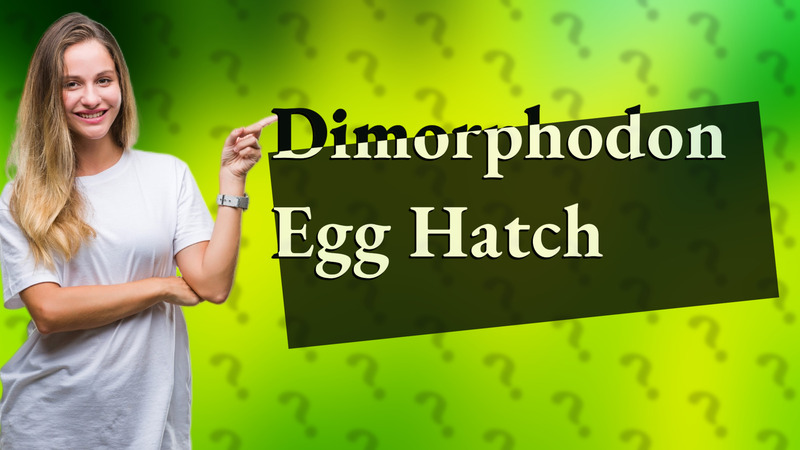 Dimorphodon Egg Hatch