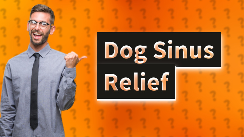 Dog Sinus Relief