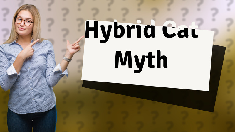 Hybrid Cat Myth