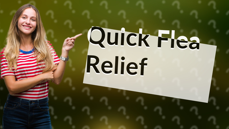 Quick Flea Relief