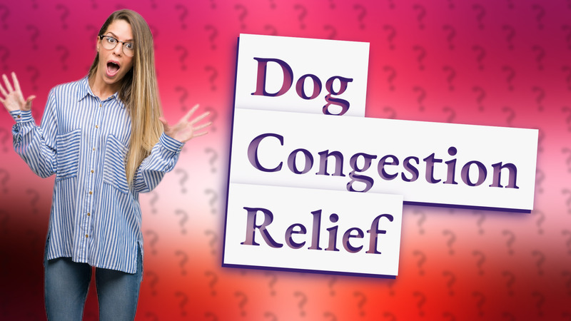 Dog Congestion Relief