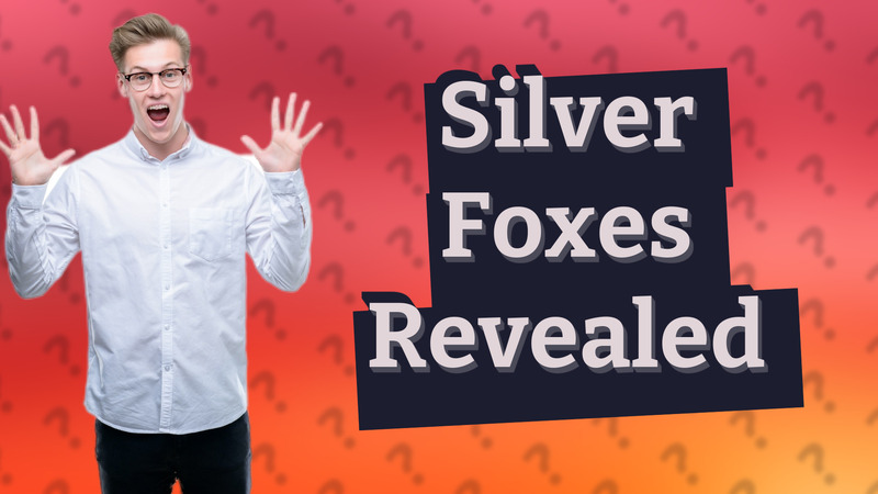 Silver Foxes Revealed