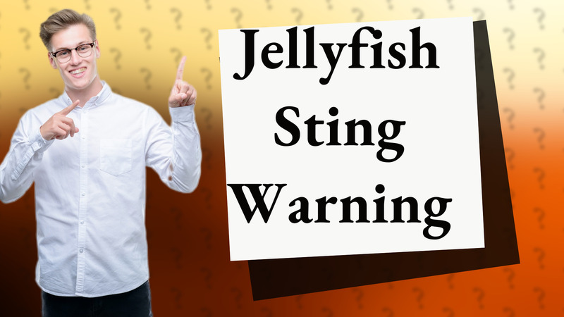 Jellyfish Sting Warning