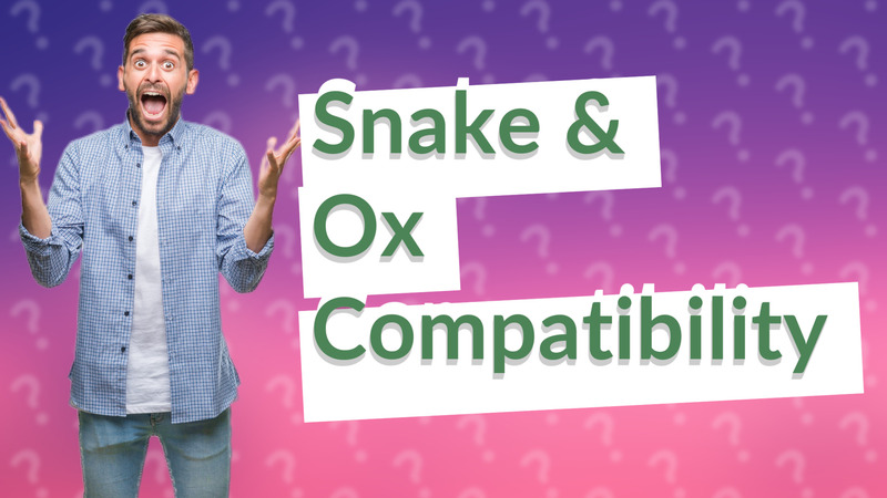 Snake & Ox Compatibility
