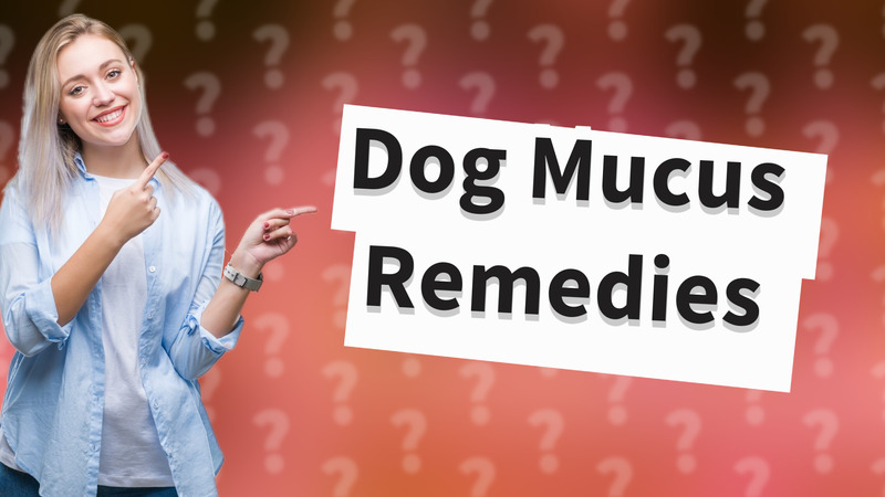 Dog Mucus Remedies